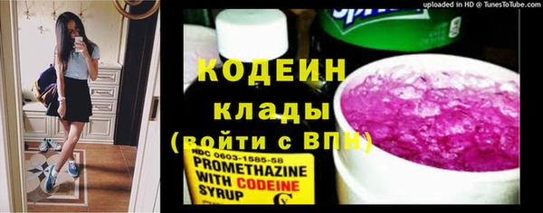 не бодяженный Горно-Алтайск