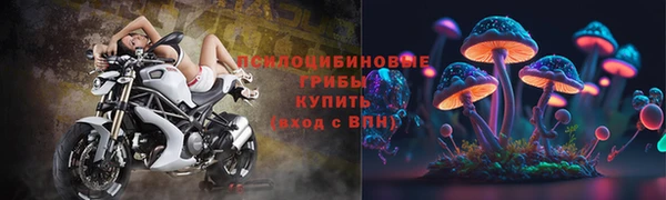 мяу мяу мука Белоозёрский