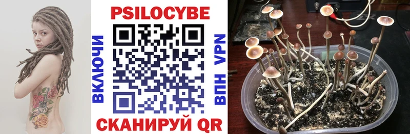 цена   Полесск  Псилоцибиновые грибы прущие грибы 
